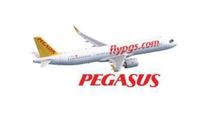 pegasus